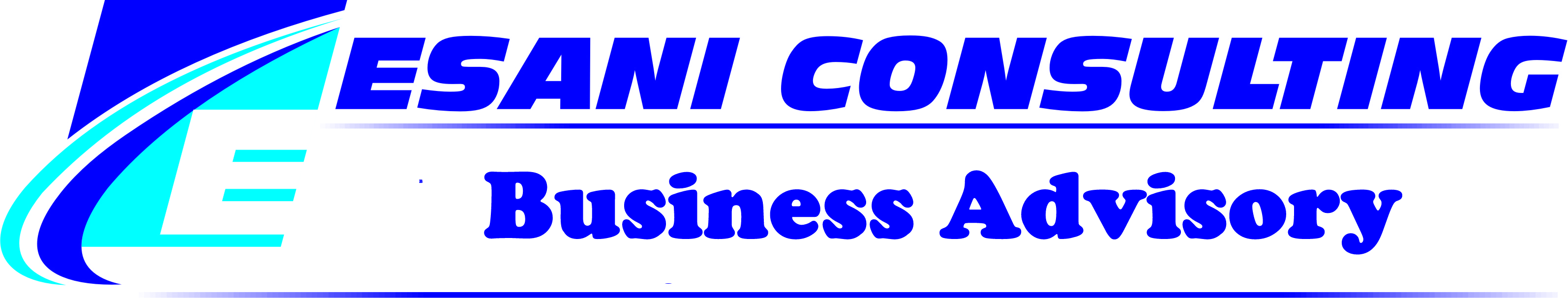 ESANI Business Advisory